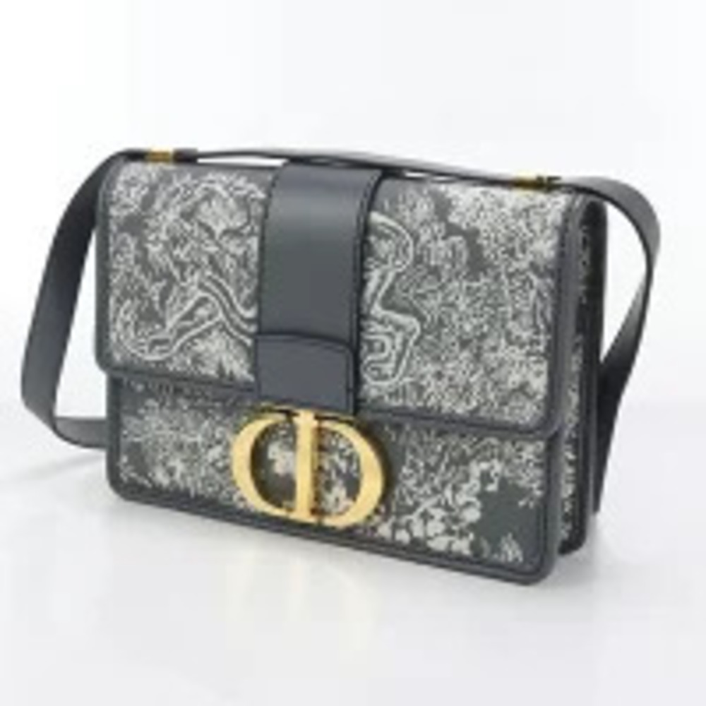 Christian Dior Crossbody Bag Montaigne Gray - Picture 2 of 10